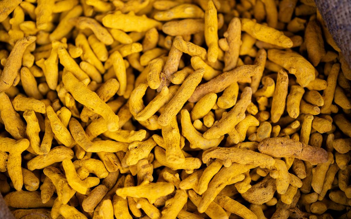 Turmeric Allergy Care Aid: 7 Proven Ways to Avoid Painful Pet Reactions