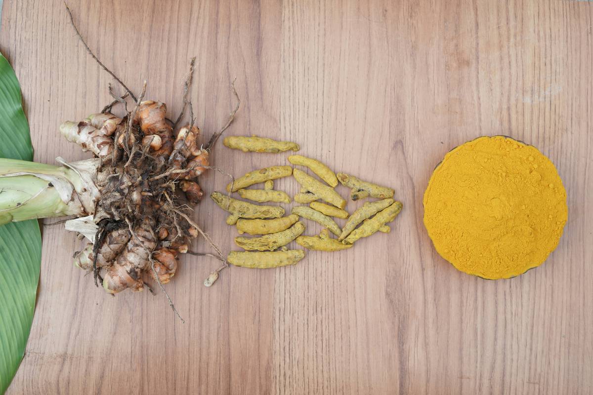 Turmeric Inflammation Solution Aid: 7 Proven Ways to Avoid Painful Pet Health Mistakes
